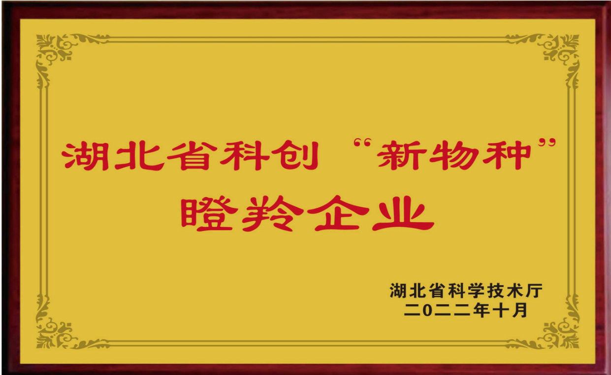 新物種
